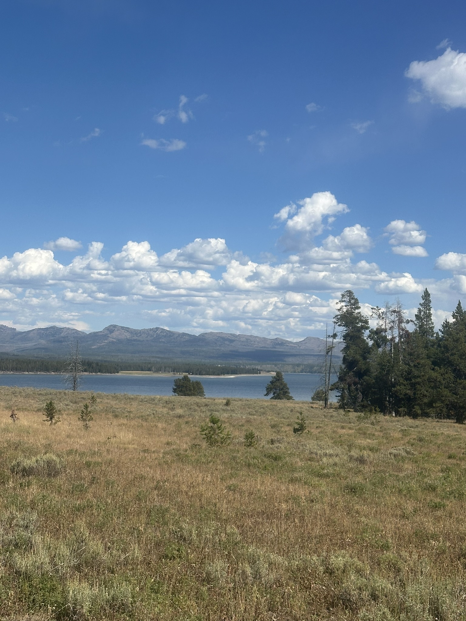 Yellowstone And Grand Teton National Parks - Image 1446